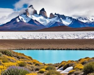 Chile erleben: Von der Atacama-Wüste bis nach Patagonien