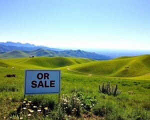 Grundstück kaufen: Worauf Sie beim Kauf achten sollten