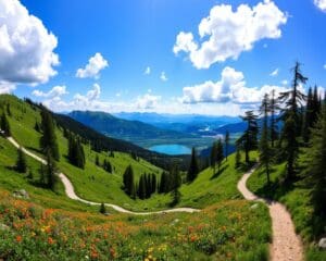 Die schönsten Wanderwege für Naturgenießer