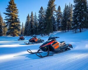 Elektrische Schneemobile: Umweltfreundlicher Wintersport