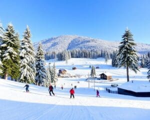 Feldberg: Schneespaß im Schwarzwald