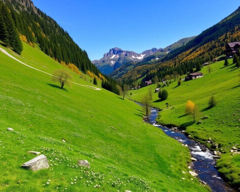 Oberstdorf: Wandern auf malerischen Pfaden