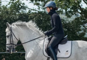 Was leistet Beritt für Problempferde bei Verhaltensfragen?