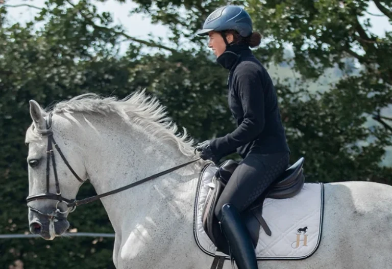 Was leistet Beritt für Problempferde bei Verhaltensfragen?