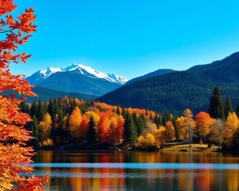 Wie entdeckt man Kanada landschaftlich?